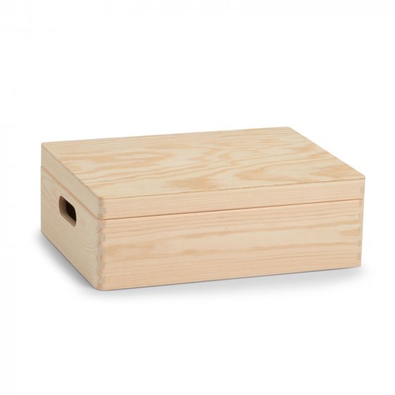Allzweckkiste mit Deckel Ordnungsbox 40x30x14 
