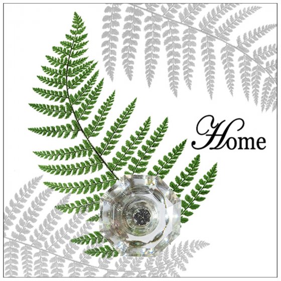 Wandhaken 4er-Set Leaf 