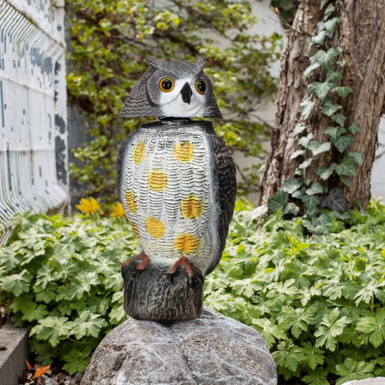 Garteneule „Vogelschreck”