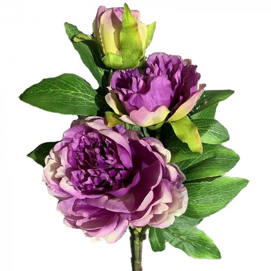 Pfingstrose 2er Set Lila Flora 38 cm