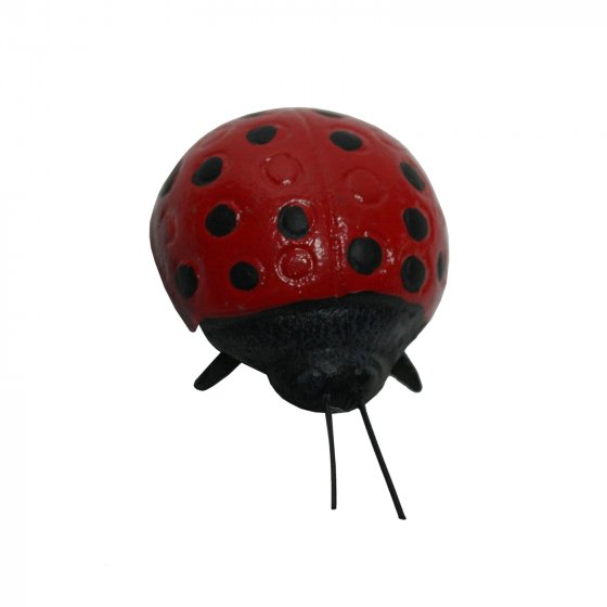 Wanddeko Marienkäfer 