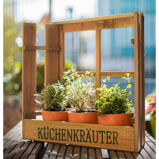 Kräuterfenster Mina 