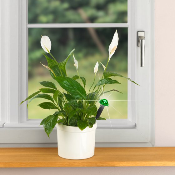 Feuchtesensor mit LED-Ampelsystem 