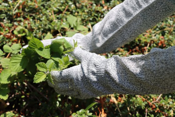 Langarm-Gartenschutzhandschuh (1 Paar) 