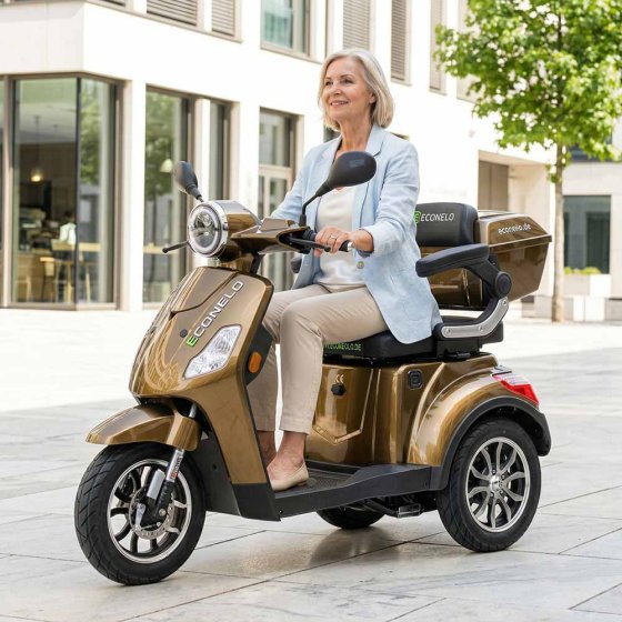 E-Mobil YOGI-IQ, 3-Rad Blei-Akku Braun