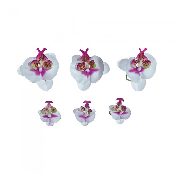 Orchideenblüten-Binder 6er-Set 