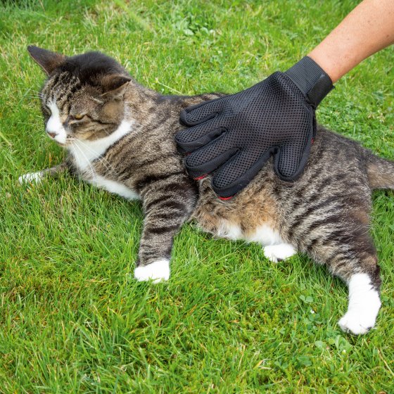 Bürstenhandschuh