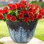 Blumentopf Nessa Feder Blau 3er-Set - 4