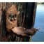 Vogeltränke Tree - 4