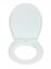 Premium WC-Sitz Hochglanz Acryl Mod. Frog News, aus antibakteriellem Duroplast - 4