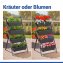 Vertikales Hochbeet, 4 Etagen, wetterbeständiger Kunststoff - 4