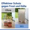 Pflanzenschutz-Vlies 100 x 120 cm, Beige, 2er Set, reißfestes Wintervlies für Pflanzen - 4