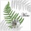 Wandhaken 4er-Set Leaf - 4