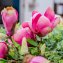 Kunstblume Magnolienstrauß Flora - 4
