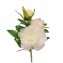 Pfingstrose 2er Set Weiß Flora 38 cm - 4