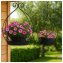 Blumenampel 2er-Set Celia - 4