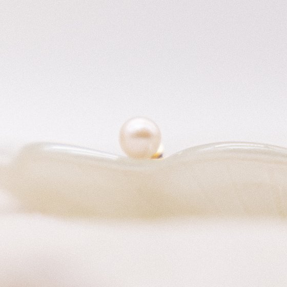 Ohrringe Gold 585 Akoya-Perle 6,5-7mm 