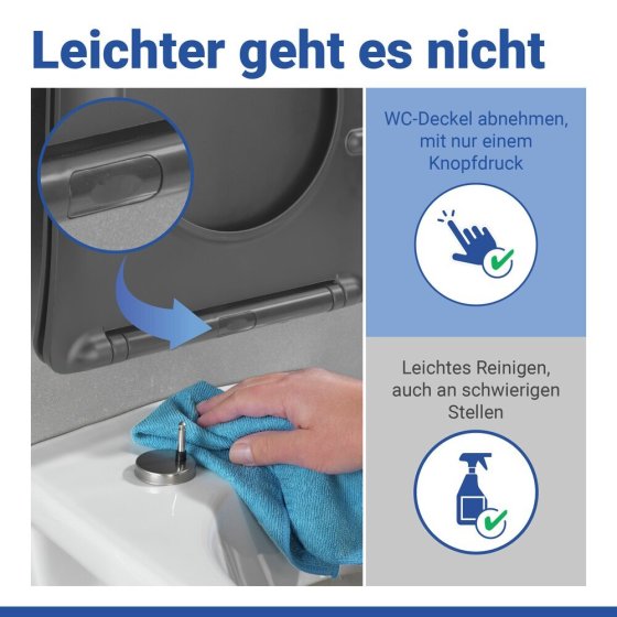 WC Sitz Mod. Galati Anthrazit matt, Toilettendeckel in D-Form mit Absenkautomatik 