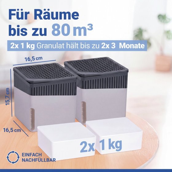 Raumentfeuchter Mod. Cube Grau 1000 g, 2er Set, beugt Schimmel und Gerüchen vor 
