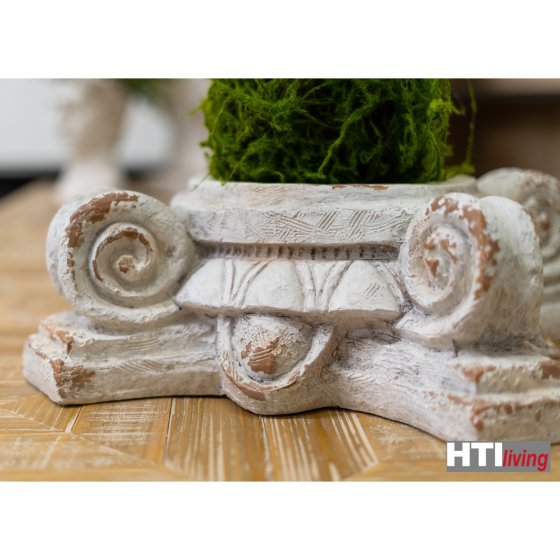 Pflanzgefäß Apollon Blumenkübel Volute