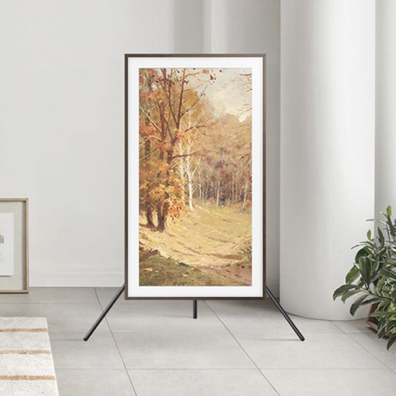 Samsung TV GQ55LS03DAUXZG 