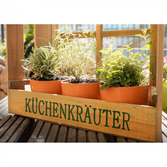 Kräuterfenster Mina 