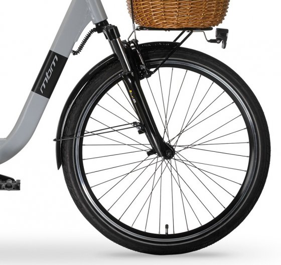 Elektro-Citybike RHEA  26 Zoll, grey 