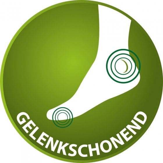 Anti-Schweiß-Sohlen Paar 