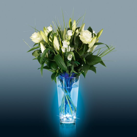 LED-Lichtzauber mit Farbwechsel