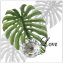 Wandhaken 4er-Set Leaf - 5