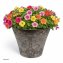 Blumentopf Nessa Ornamente Gold Silber 3er-Set - 5