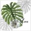 Wandhaken 4er-Set Leaf - 5