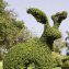 Heckenschere „Garden Groom“ Pro - 5