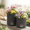 Selbstbewässernde Pflanztöpfe - 5