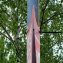 Kabelbinder für Plakatbefestigung 80cm Ideal für Straßenlampen, Bäume und Zäune - 5