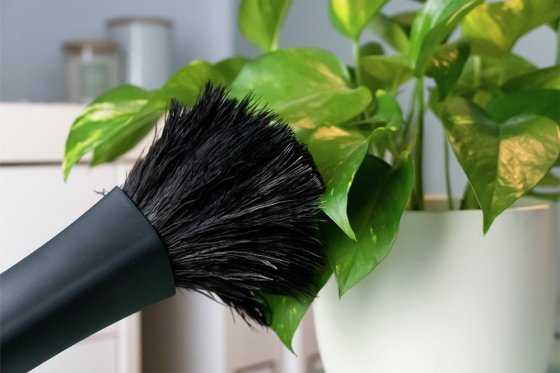 Einschiebbarer Straußenfeder-Wedel, aus 100% echten Straußenfedern 