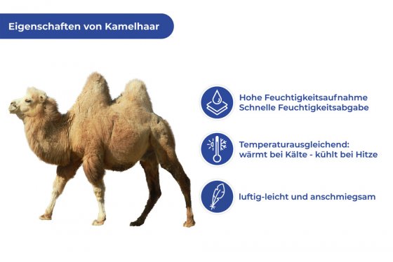 Bettdecke Kamel Haar, Decke mit natürlichem Temperaturausgleich 