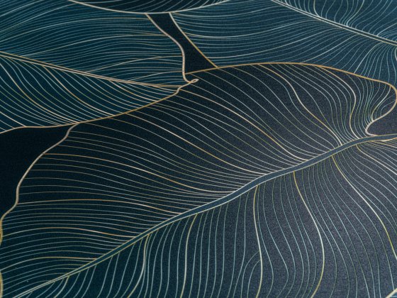 Premium WC-Sitz Mod. Big Leaves mit Relief, aus antibakteriellem Duroplast 