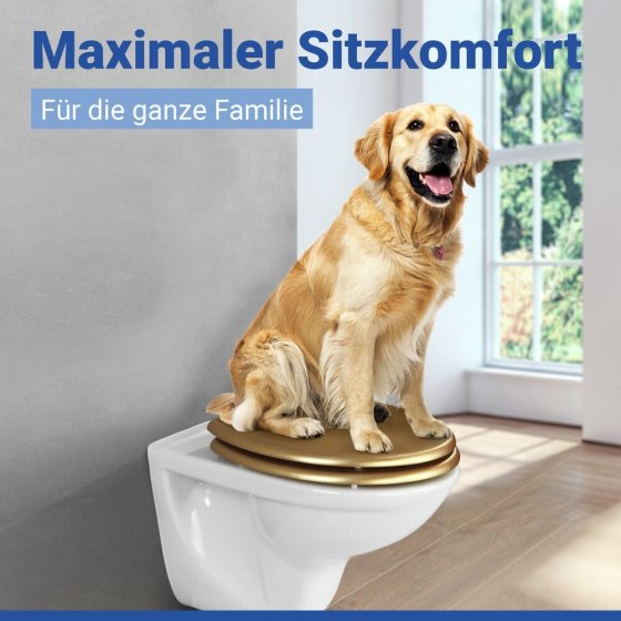 WC Sitz Mod. Aldeno Gold matt, Toilettendeckel aus foliertem MDF 