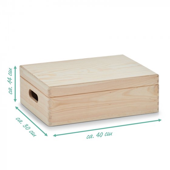 Allzweckkiste mit Deckel Ordnungsbox 40x30x14 