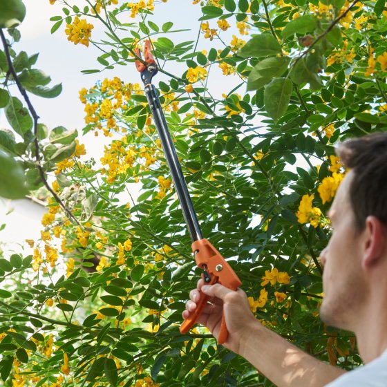 Langstielige Gartenschere „Titanium”