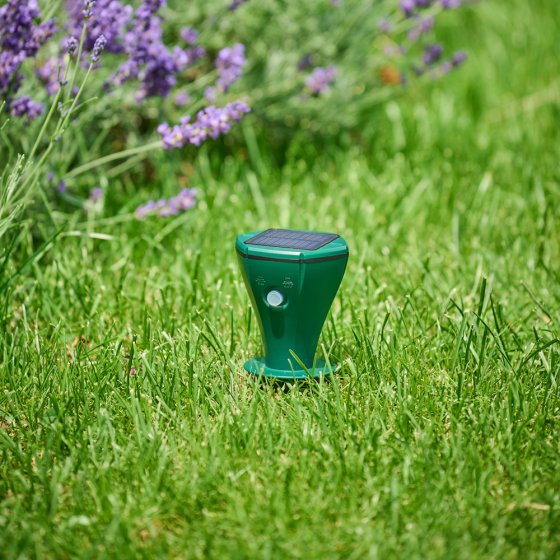 Solar-Wühlmausabwehr 