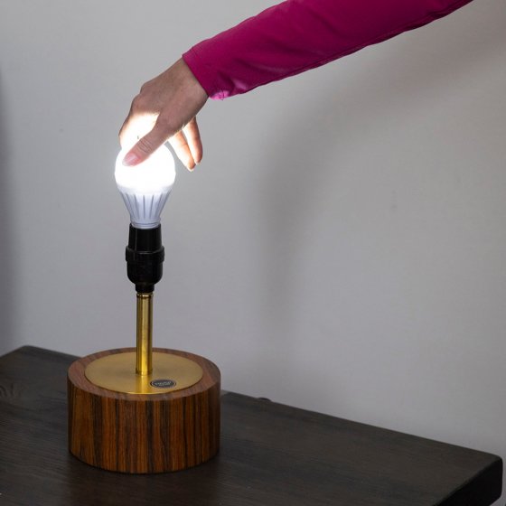 Leuchtmittel mit Fernbedienung 