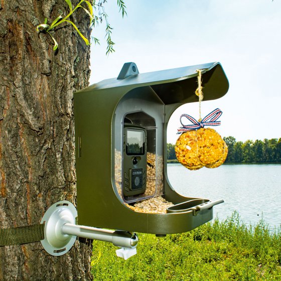 Vogelbeobachtungskamera mit Futterstelle 