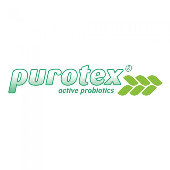 Purotex®-Visko-Wendematratze inklusive Gratiskissen 