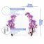 Herdabdeckplatte Universal Mod. Orchideenblüte, 2er Set, für alle Herdarten geeignet - 6