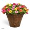 Blumentopf Nessa Ornamente Gold Silber 3er-Set - 6