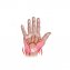 Handgelenkbandage - 6