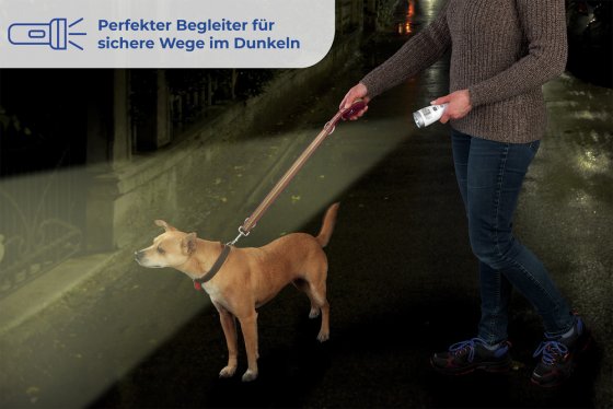 LED Sensor-Nachtlicht & Handleuchte, Nachtleuchte mit Bewegungssensor 