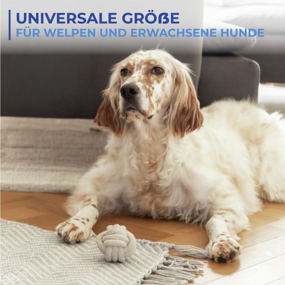 Mod. Multi-Tierdecke 90x60cm, antihaftbeschichtete Tiermatte 